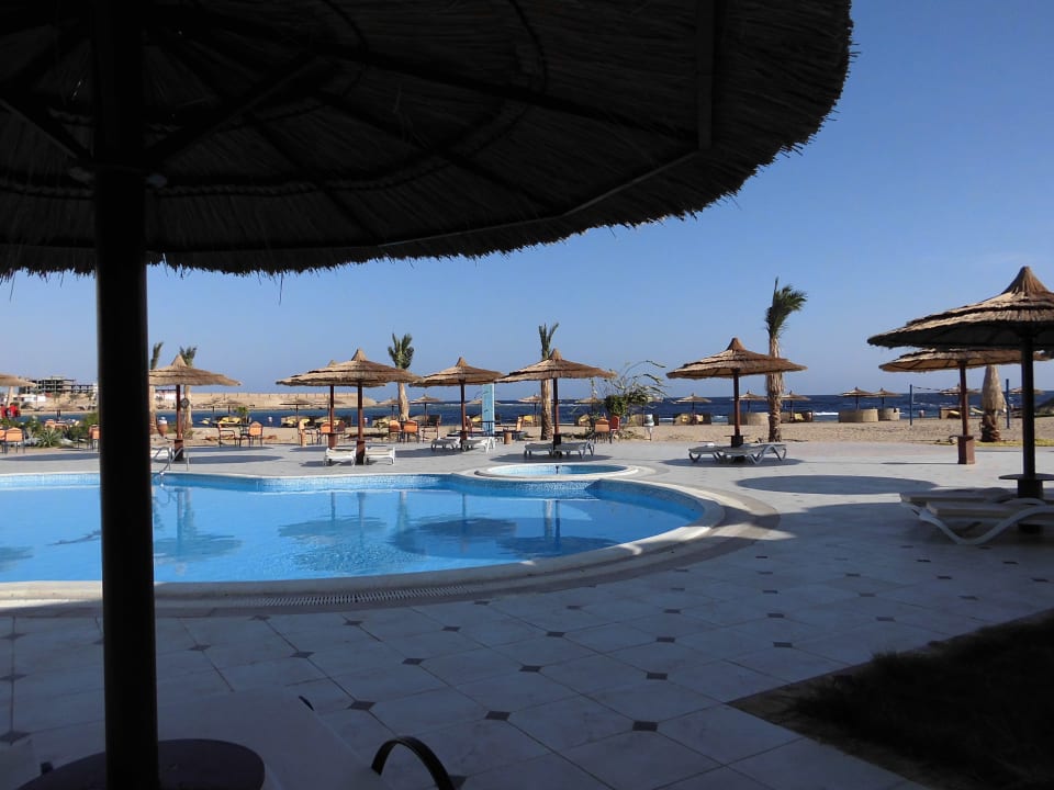Blick auf Pool Coral Sun Beach