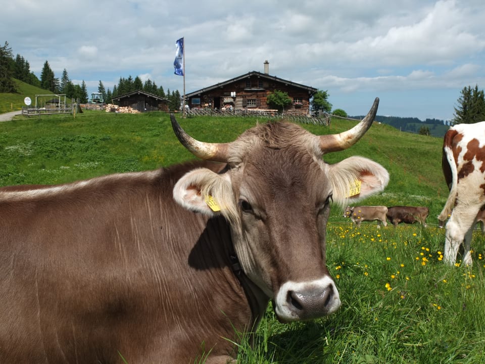 Sonstiges Ferienhof Baldauf