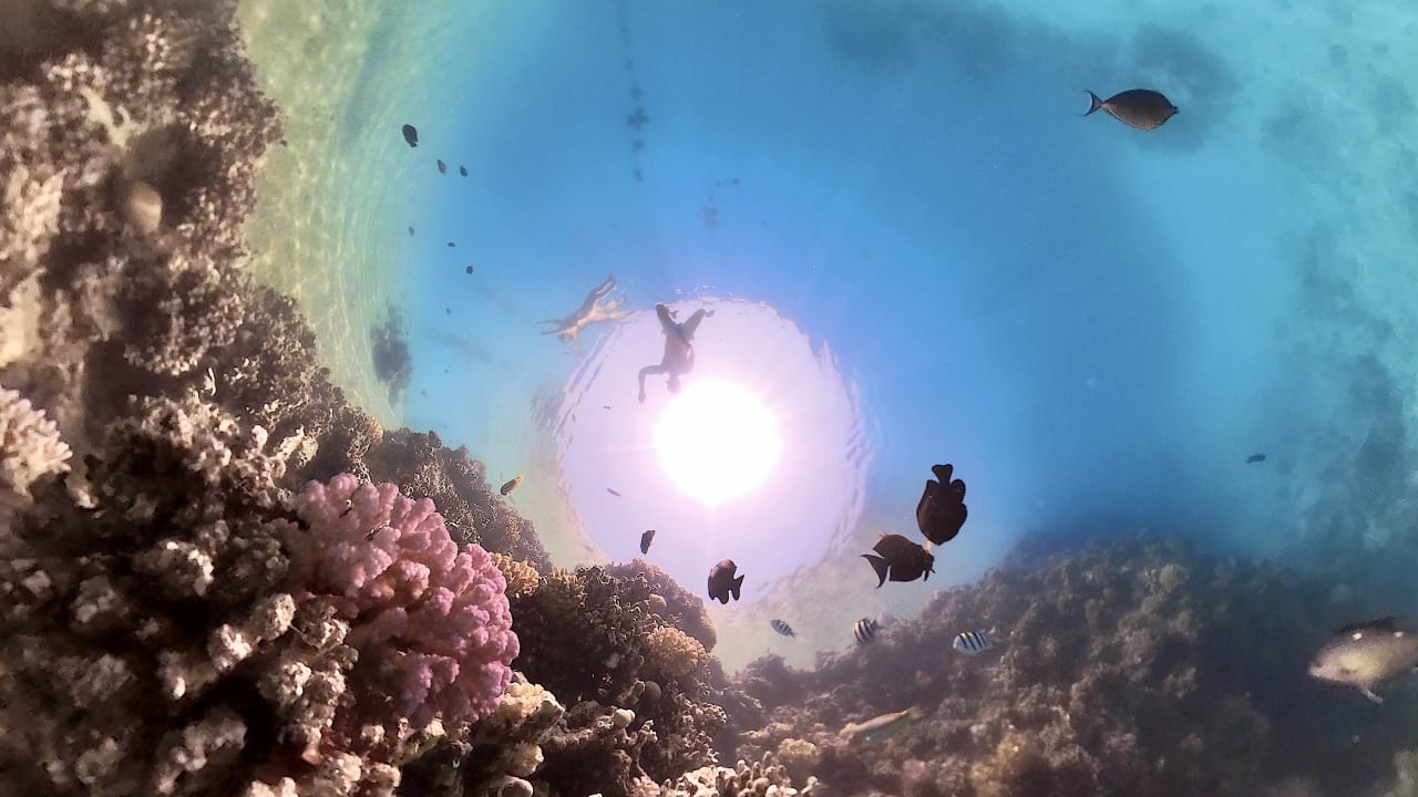 Sport & Freizeit Marina Resort Port Ghalib, a member of Radisson Individuals