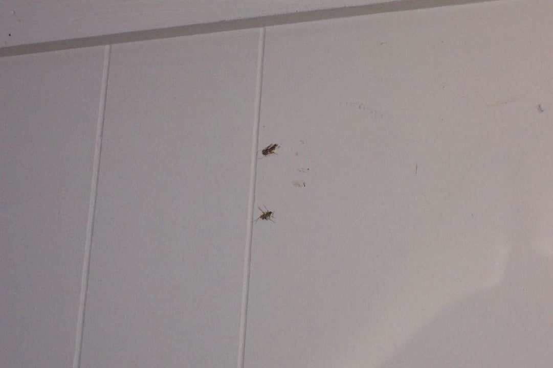 Im Wohnraum Het Grootslag Vakantiepark