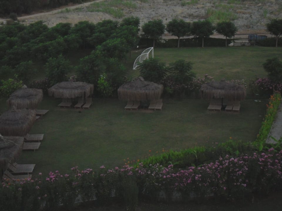 Liegewiese am frühen Morgen Can Garden Resort