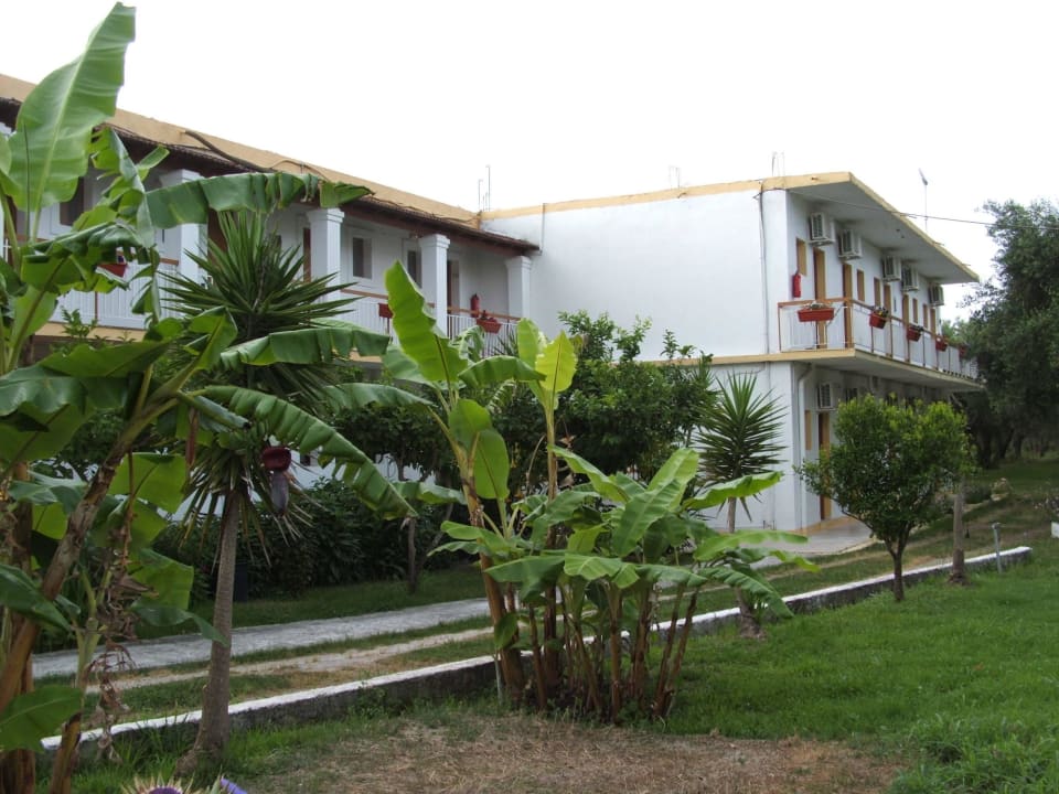 Back of the hotel Hotel Fire Fly