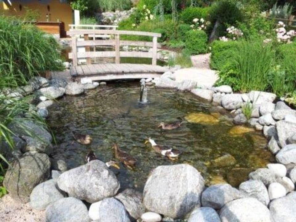 Pool für Enten1 Hotel Kohlerhof