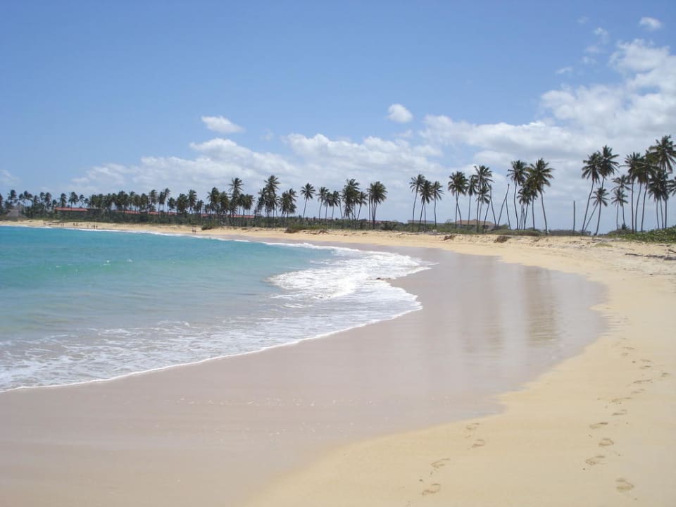 Strand abseits der Hotelanlage Grand Sirenis Punta Cana Resort & Aquagames