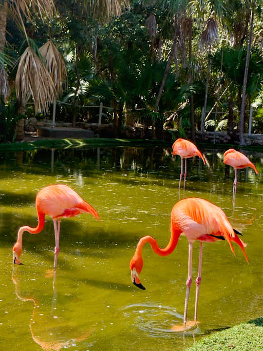 Außenansicht TRS Yucatan Hotel - Adults only