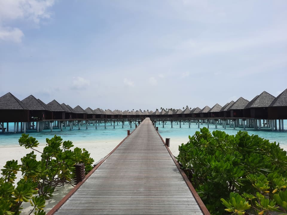 Zimmer Sun Siyam Olhuveli