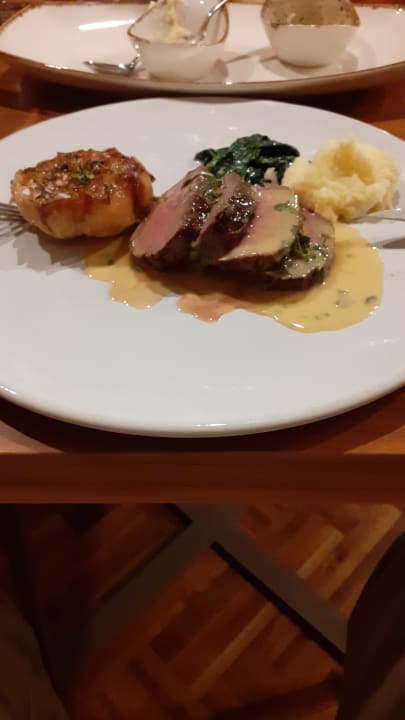 Gastro Acanthus Cennet Barut Collection