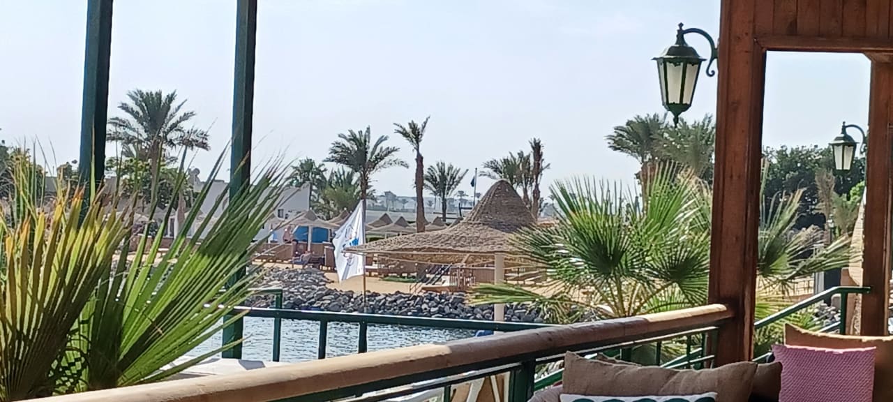 Ausblick Desert Rose