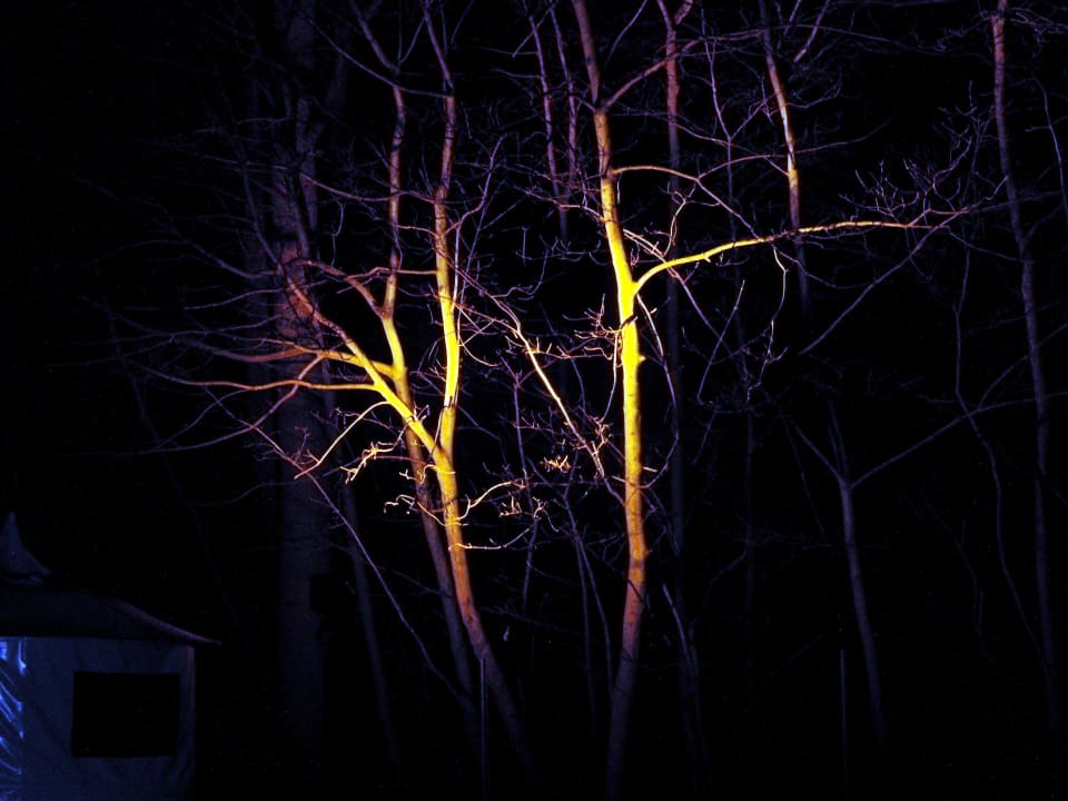 Bei Nacht zur Granitzseite Grand Hotel Binz by Private Palace Hotels & Resorts