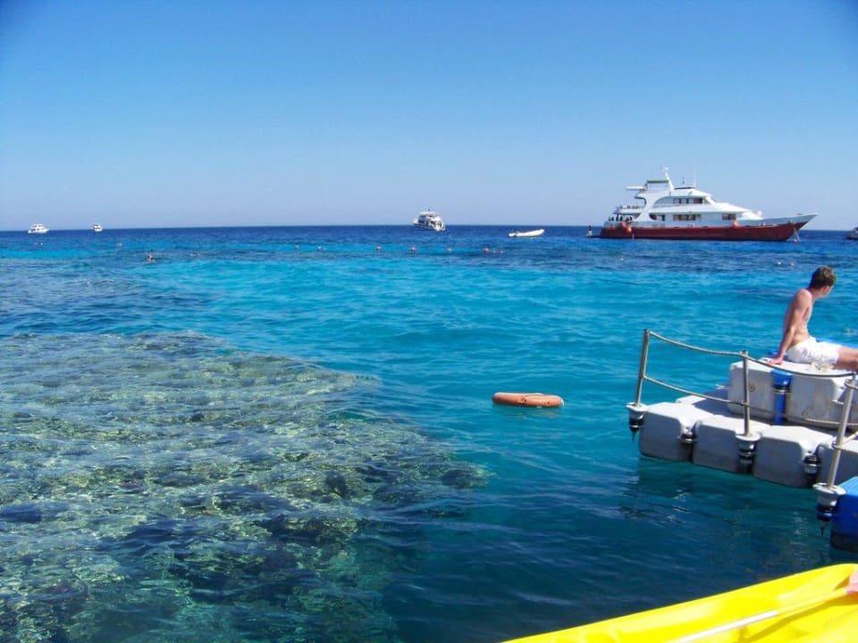 Das Paradies Hotel Reef Oasis Palms