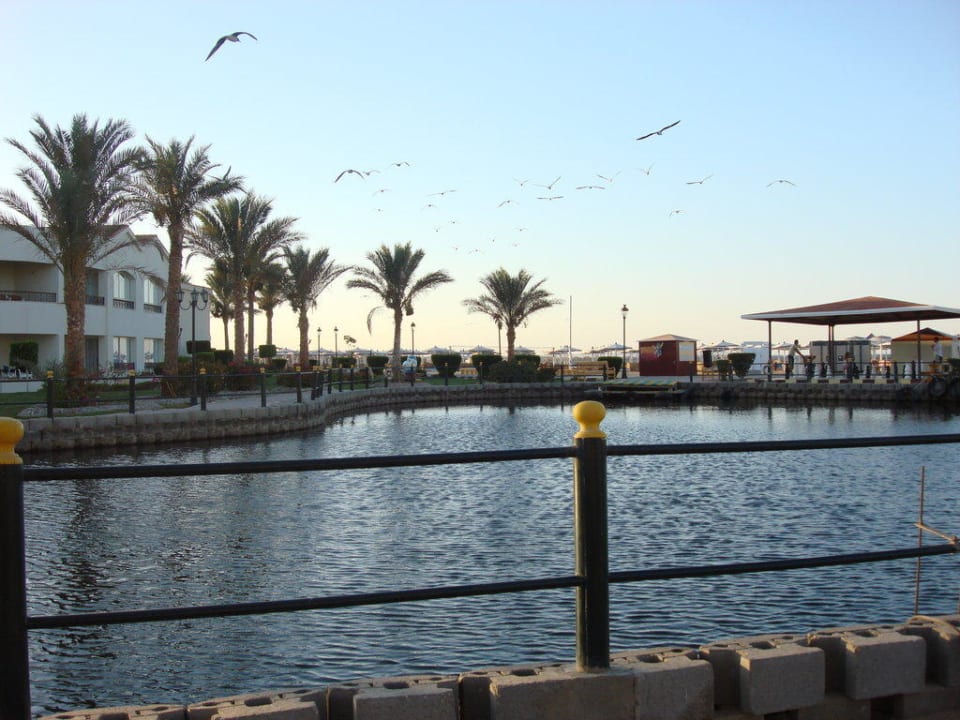 Gartenanlage Pickalbatros Dana Beach Resort - Hurghada