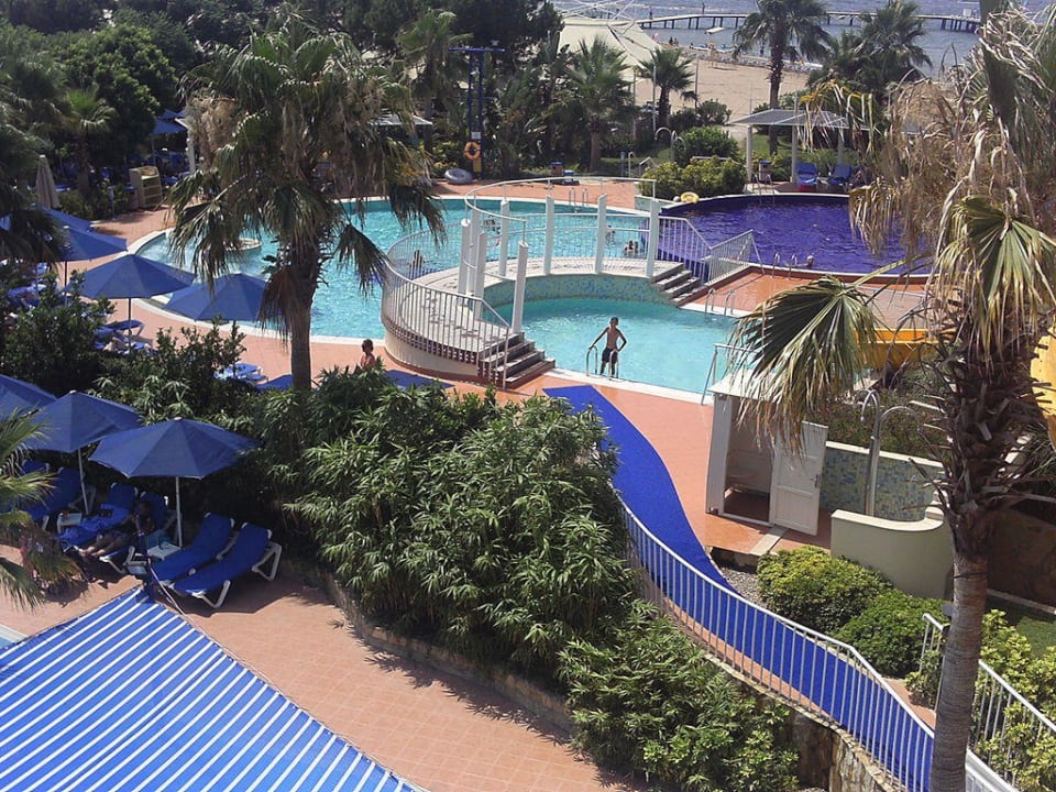Actionpool ROBINSON PAMFILYA