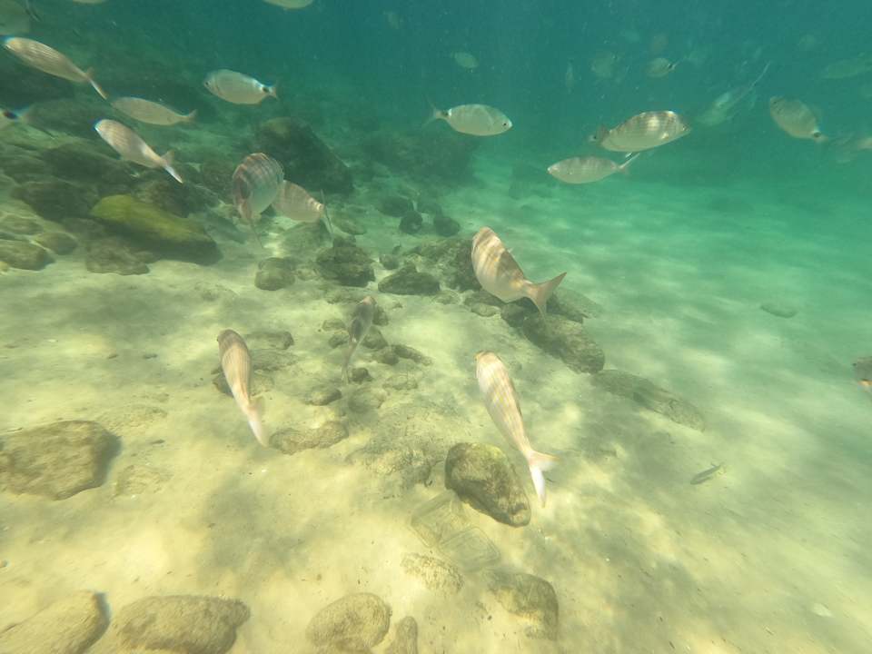 Sonstiges Club Resort Atlantis