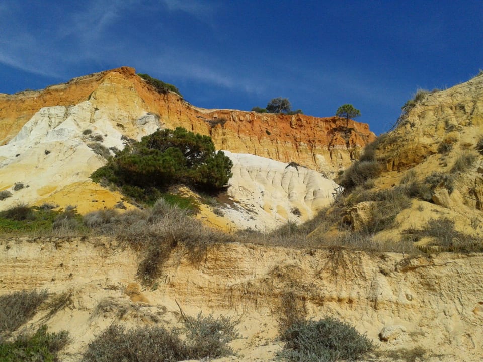 ClubHotel Riu Guarana 3HB Guaraná - All Inclusive