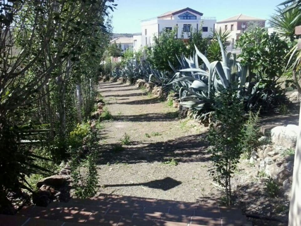 Camino por los exteriores de la finca Alojamiento Rural Hacienda Mendoza
