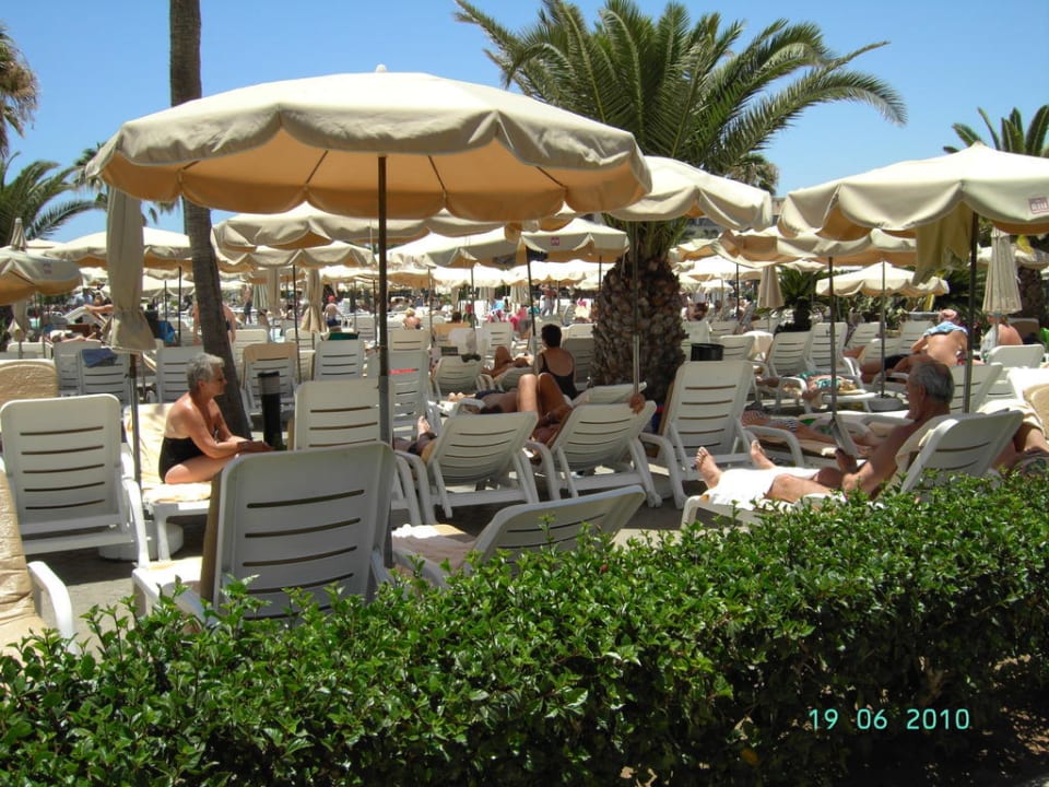 Sonnenliegenwald am Pool Hotel Riu Gran Canaria