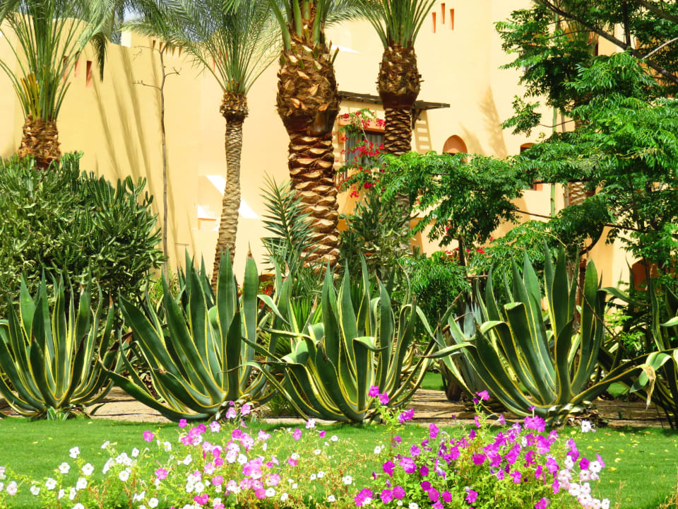 Eine sehr gepflegte Anlage Steigenberger Coraya Beach - Adults only