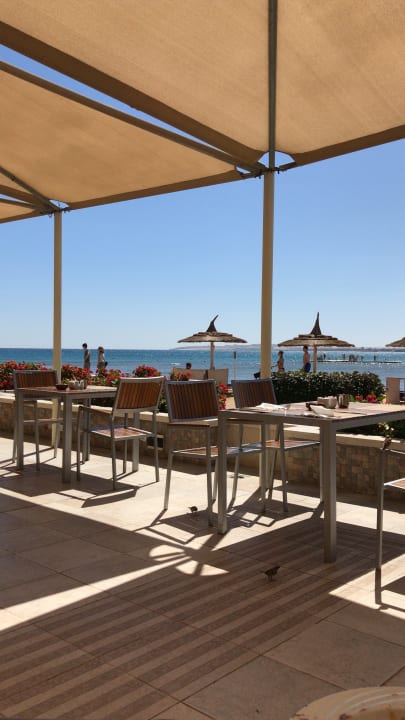 Gastro Beach Albatros Resort