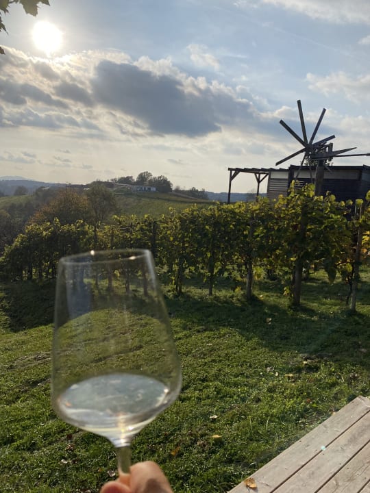 Gartenanlage Weingarten-Resort Unterlamm Loipersdorf