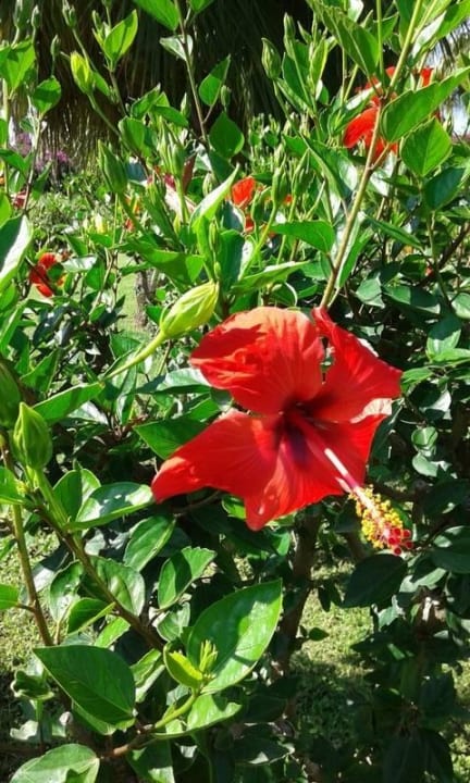 VONRESORT GOLDEN BEACH VONRESORT Golden Beach