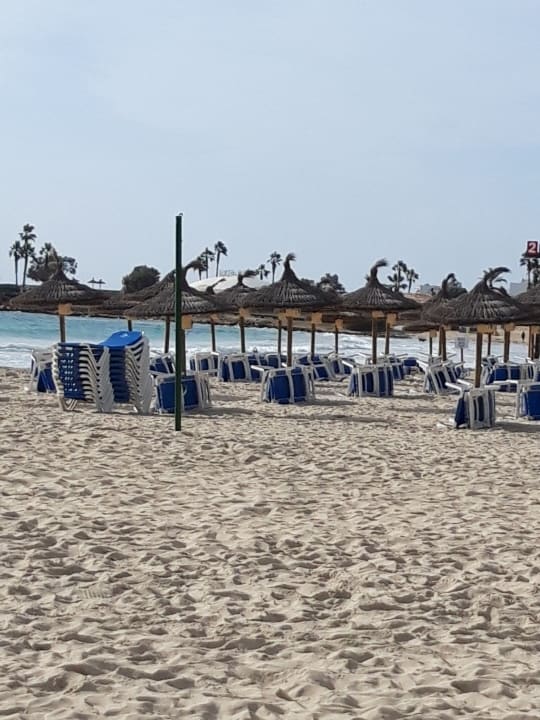 Strand Globales Bouganvilla