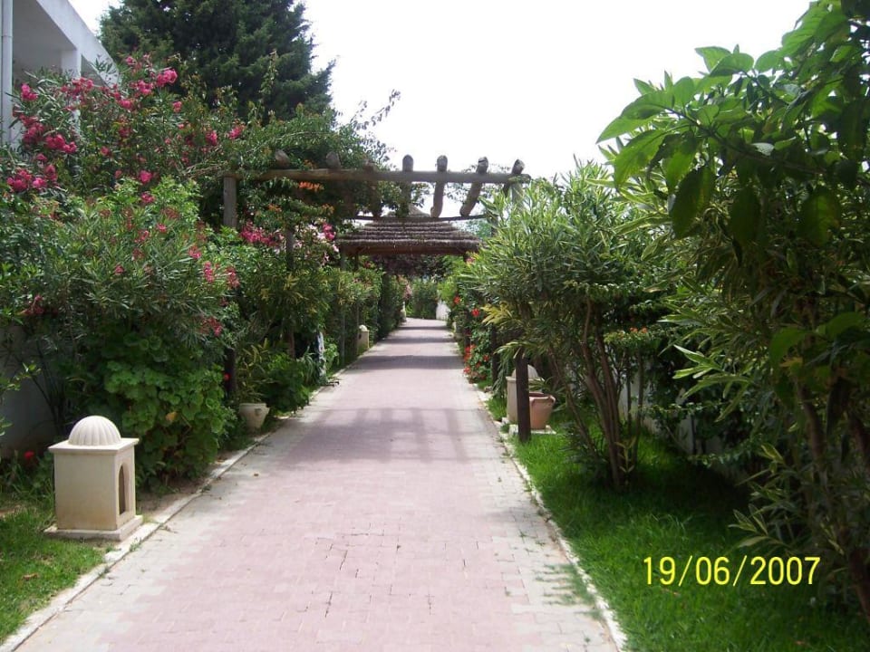 Weg zum Strand Hotel Nesrine