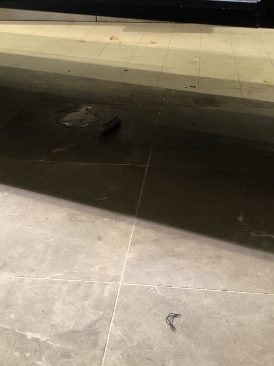 Gastro Prinsotel La Dorada