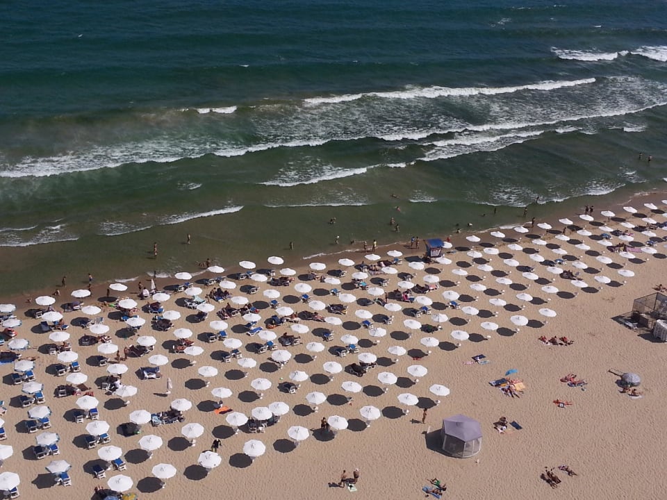 Blick auf den Strand Burgas Beach Hotel