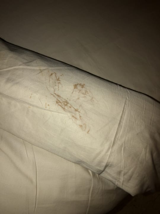 Zimmer Makadi Spa - Adults only