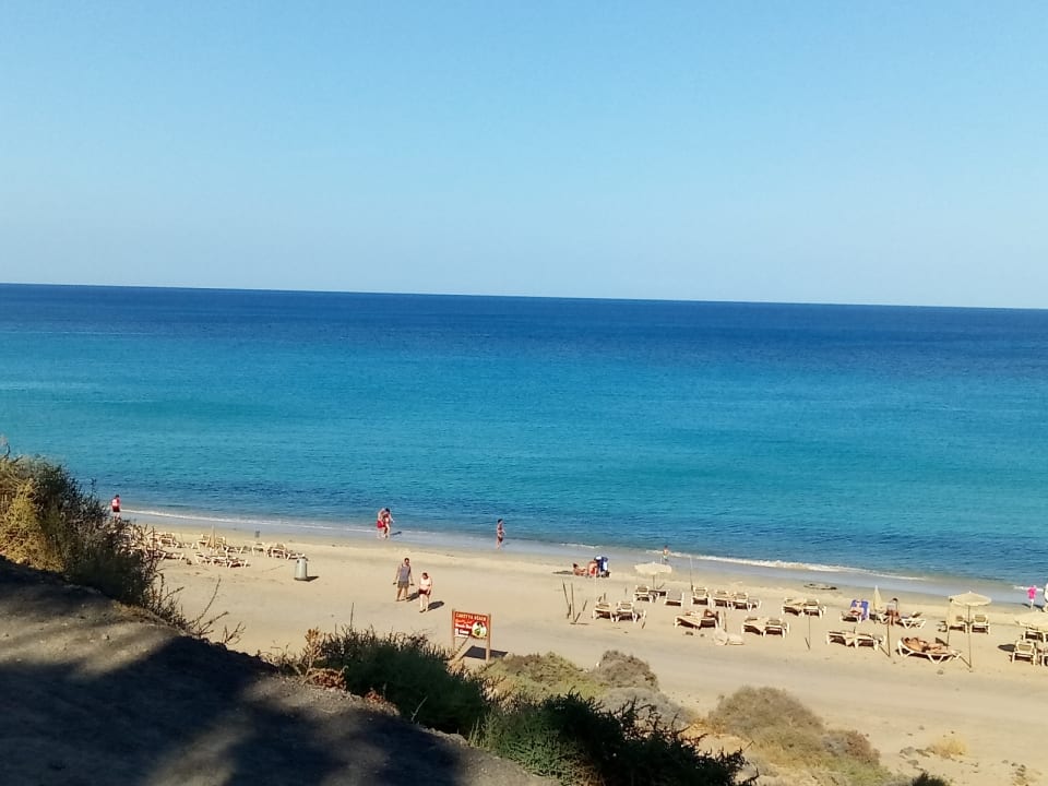 Ausblick allsun App.-Hotel Esquinzo Beach