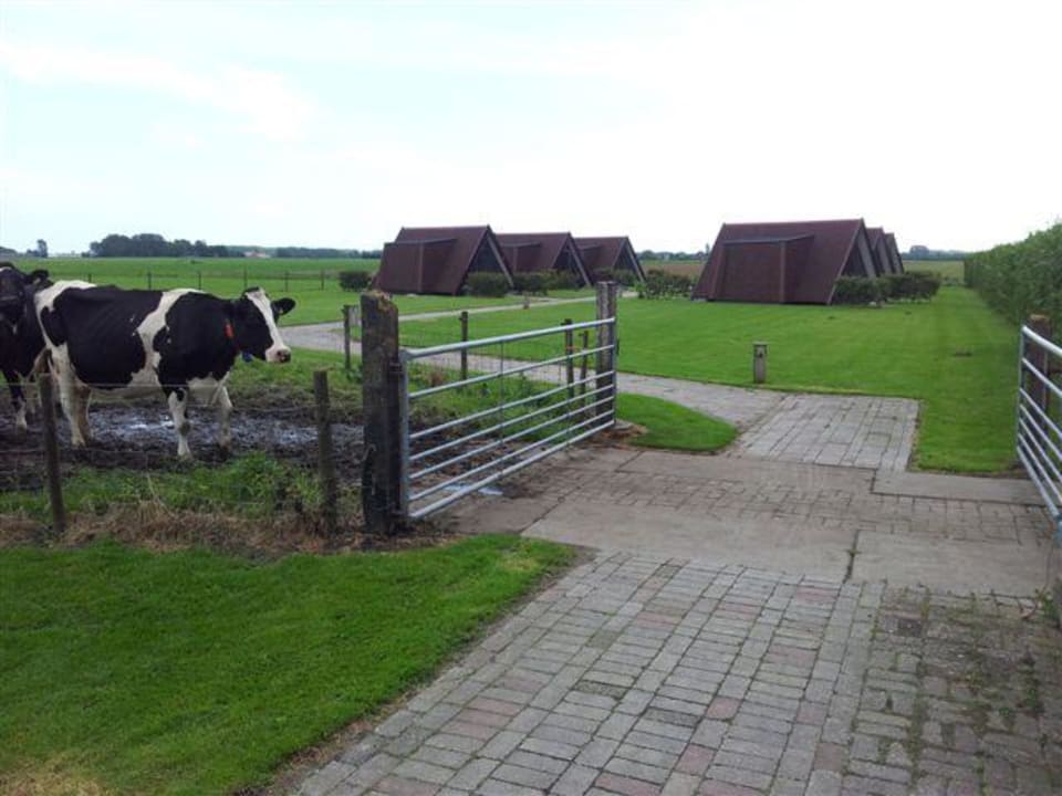 Zugang zur Anlage Hotel Restinn Andijk