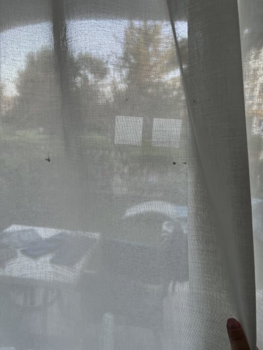 Zimmer Alcudia Garden Aparthotel