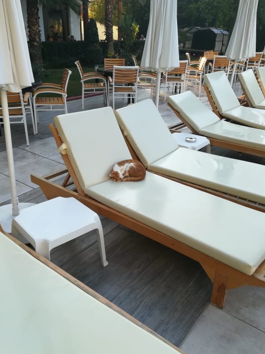 Sonstiges Dream World Aqua Hotel