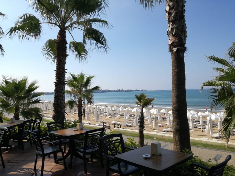 Blick von der Strandbar  Horus Paradise Luxury Resort & Club