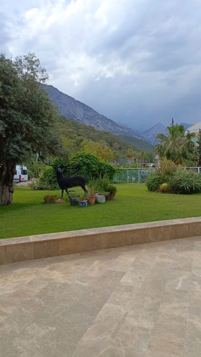 Gartenanlage Hotel Grand Ring