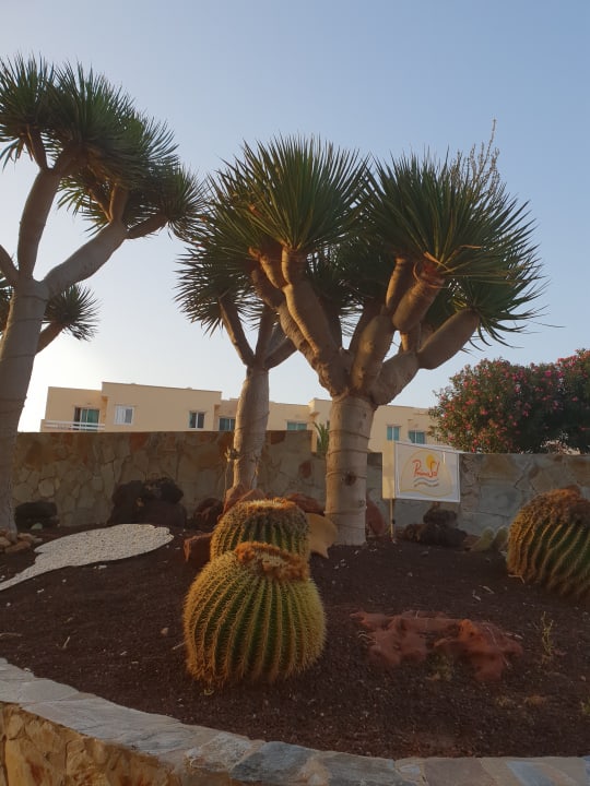 Gartenanlage Club Hotel Drago Park