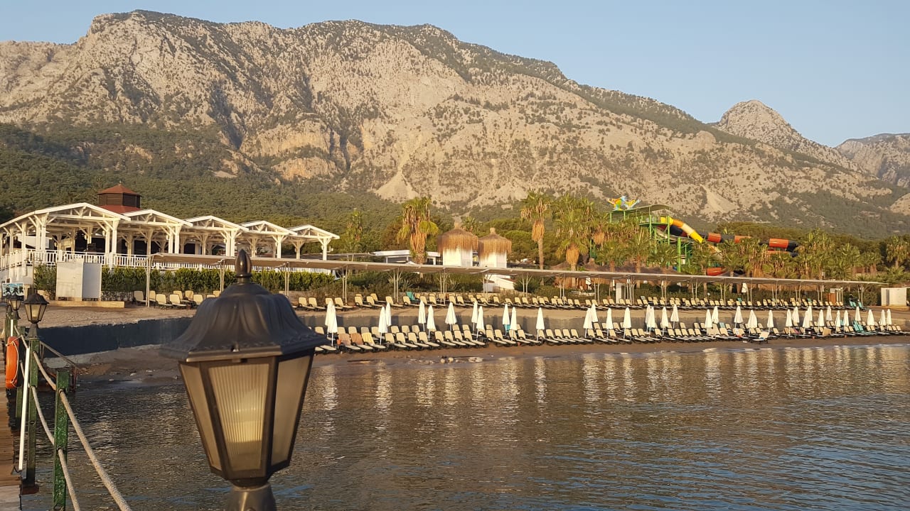 Strand Crystal Flora Pearl Collection