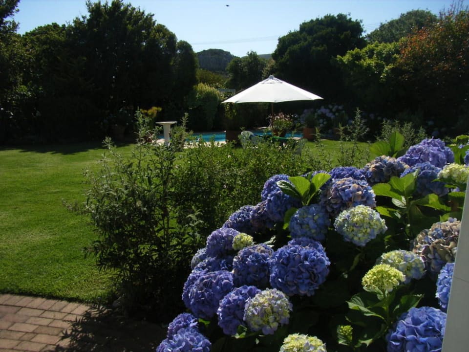 Garden & Pool Hortensia Lodge