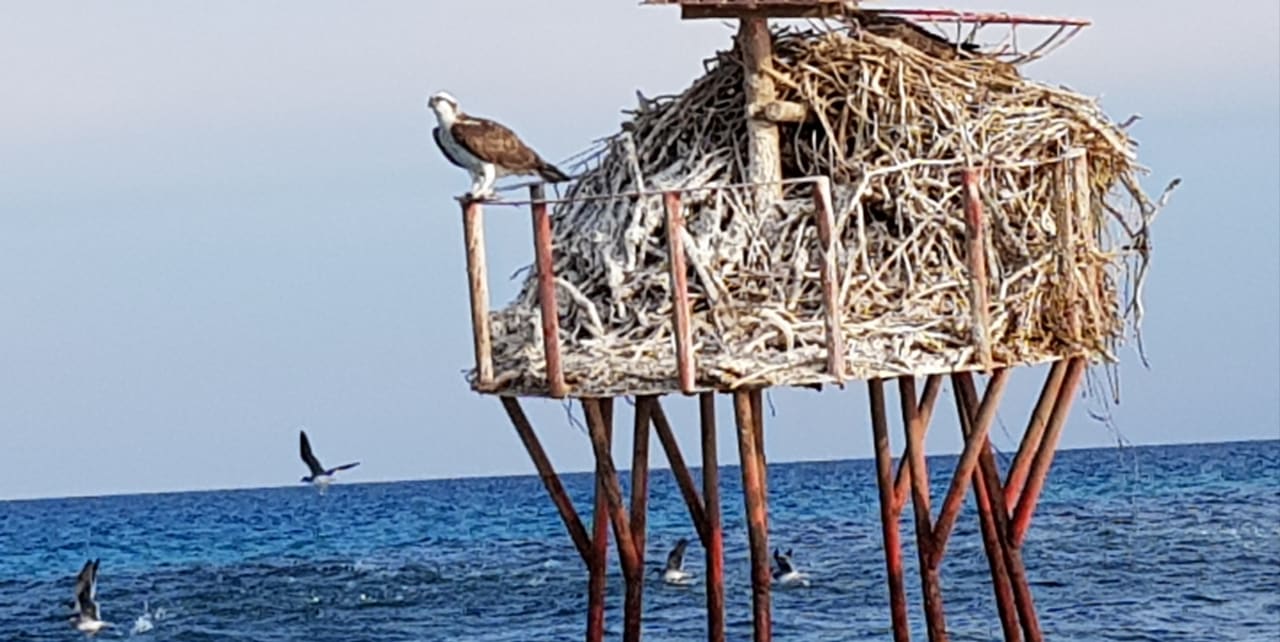 Strand Sultan Bey Hotel, El Gouna