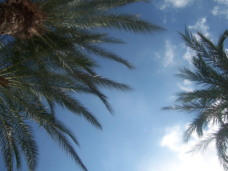 Mein Blick von der Liege aus Houda Golf & Beach Club