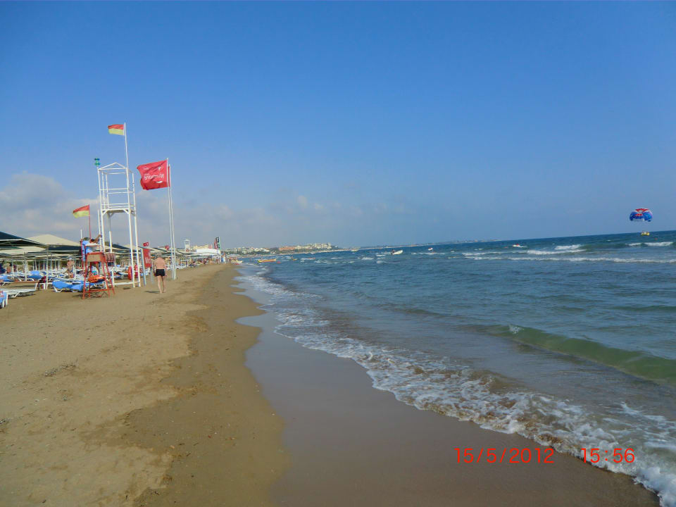 Toller Strand Trendy Palm Beach (Adults Only, 16+)