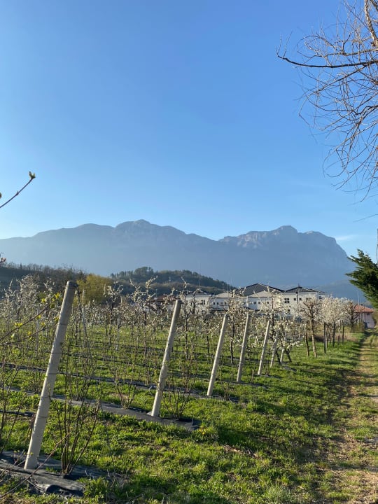 Ausblick Hotel Relais Vecchio Maso