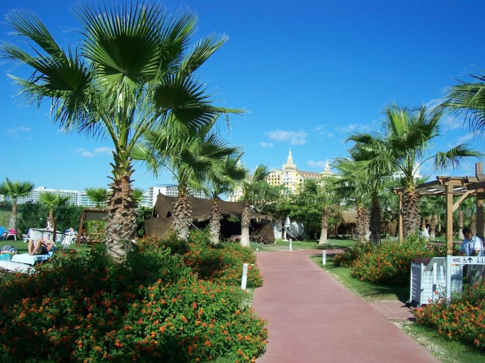 Weg vom Pool zum Strand Saturn Palace Resort Hotel