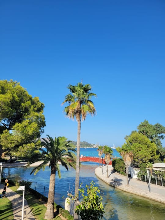 Ausblick allsun App.-Hotel Orquidea Playa