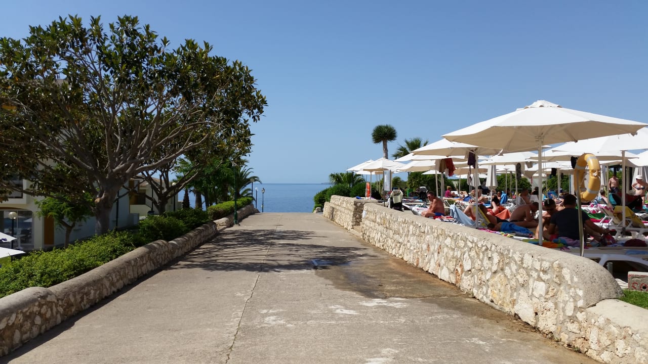 Sonstiges blau punta reina