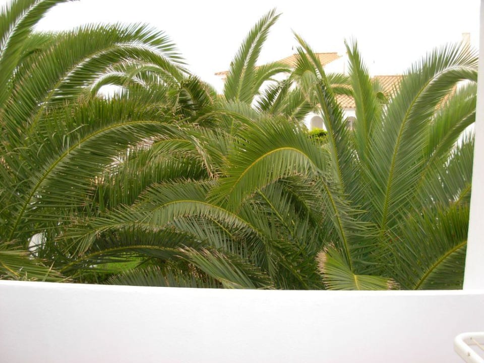 Balkon Grupotel Aldea Cala'n Bosch