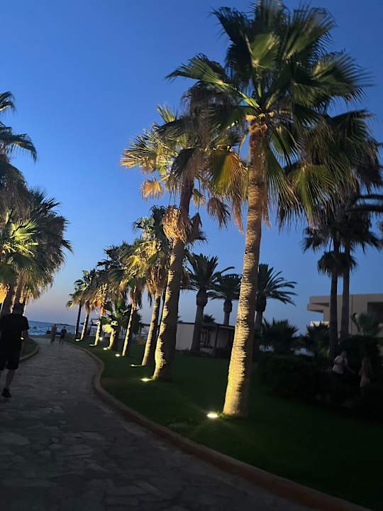 Gartenanlage Calimera Sirens Beach