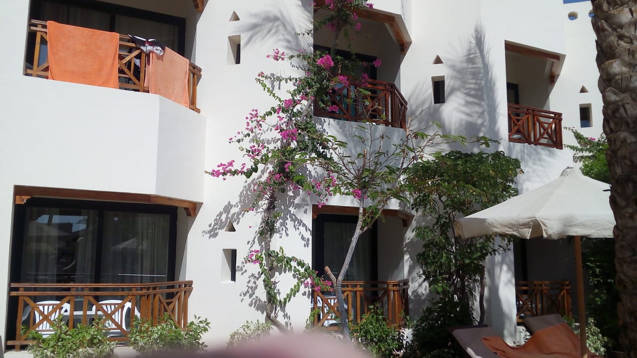 Zimmer Ghazala Gardens