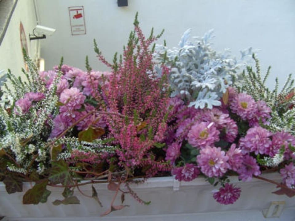 Schöne Aussicht im Hinterhof Relexa Hotel Bellevue Hamburg