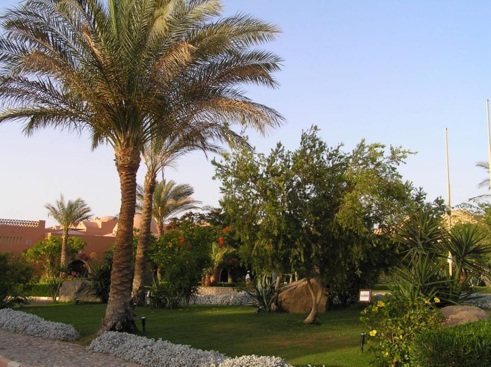 Außenanlage Jaz Makadi Oasis Resort